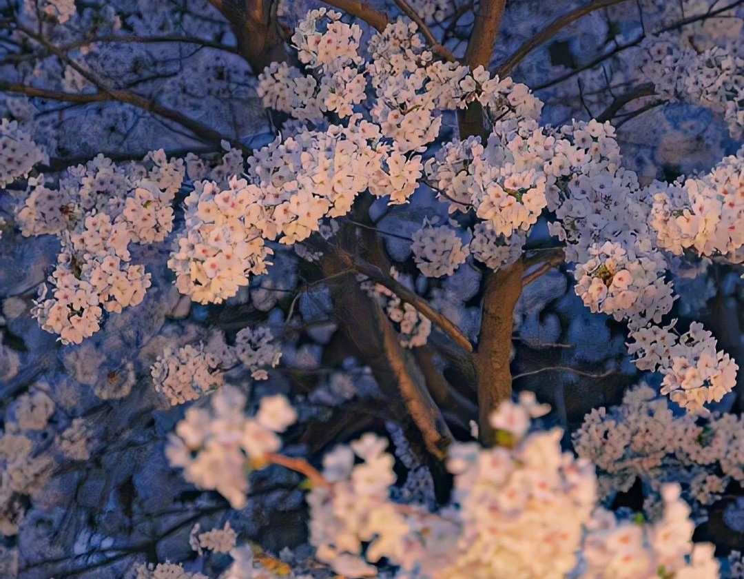 cover of next post